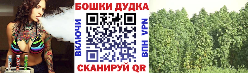 Как найти наркотики Козельск APVP  Псилоцибиновые грибы  ГАШ  Каннабис  Мефедрон 