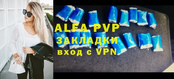 гидра Инсар