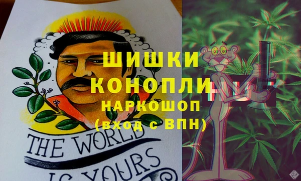 apvp Гусиноозёрск