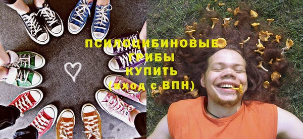 apvp Гусиноозёрск