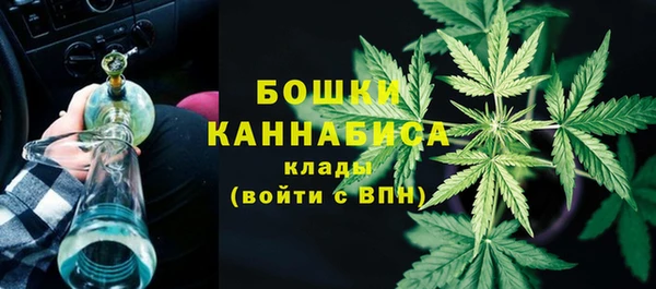 apvp Гусиноозёрск